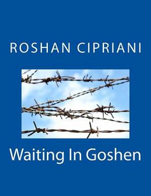 Waiting In Goshen by Roshan Cipriani