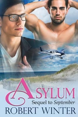 Asylum by Robert Winter