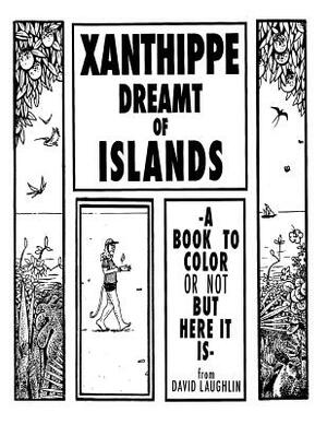 Xanthippe Dreamt of Islands: A book to color (or not) by David Laughlin