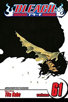 Bleach, Vol. 61: The Last 9 Days by Tite Kubo