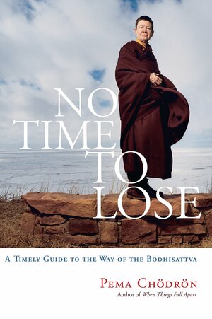 No Time to Lose: A Timely Guide to the Way of the Bodhisattva by Pema Chödrön