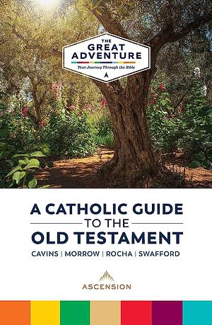 Catholic Guide to the Old Testament by Biff Rocha, Jeffrey Morrow, Jeff Cavins