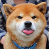 nilly00's profile picture