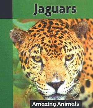 Jaguars by David Huntrods