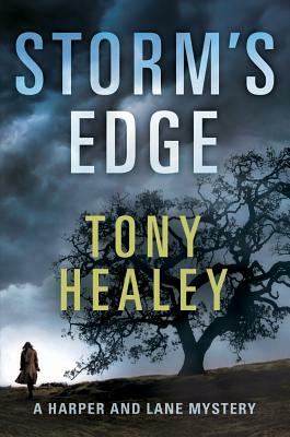 Storm's Edge by Tony Healey