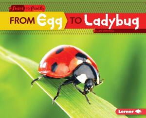 From Egg to Ladybug by Lisa Owings