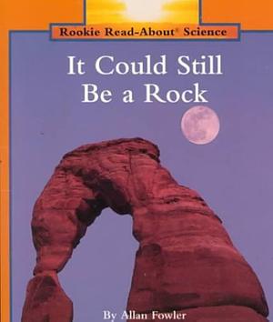 It Could Still Be a Rock by Allan Fowler