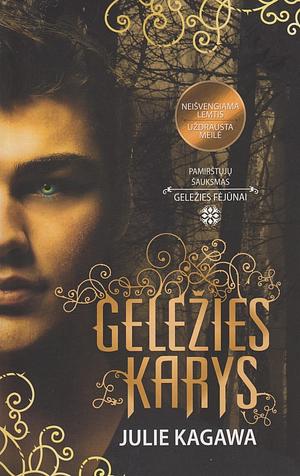 Geležies karys by Julie Kagawa