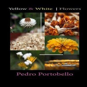 Yellow & White - Flowers: Photo Album by Pedro Portobello