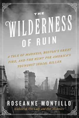 The Wilderness of Ruin: A Tale of Madness, Fire, and the Hunt for America's Youngest Serial Killer by Roseanne Montillo