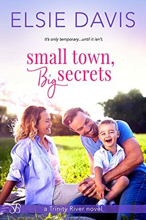 Small Town, Big Secrets by Elsie Davis