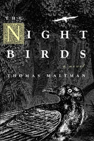 The Night Birds by Thomas Maltman