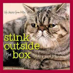 Stink Outside the Box: Life Advice from Kitty by Jeremy Greenberg, Niklas Pivic