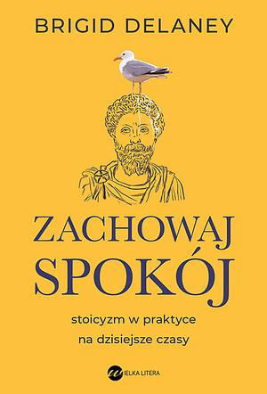 Zachowaj spokój. Stoicyzm w praktyce na dzisiejsze czasy by Brigid Delaney