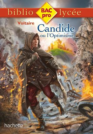 Candide ou l'Optimisme by Voltaire