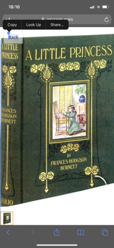 A Little Princess by Frances Hodgson Burnett