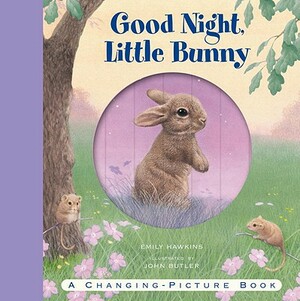 Good Night, Little Bunny by Emily Hawkins
