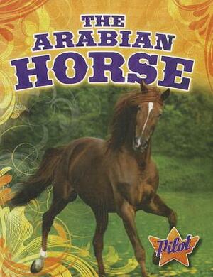 The Arabian Horse by Sara Green