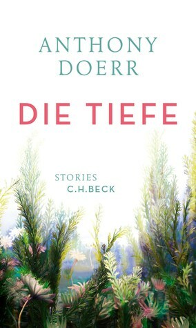 Die Tiefe by Anthony Doerr
