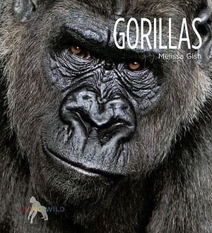 Gorillas by Melissa Gish