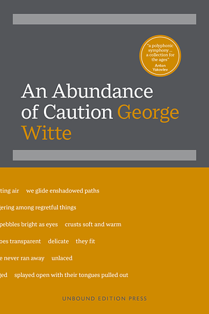 An Abundance of Caution by George Witte