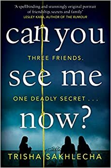 Can You See Me Now by Trisha Sakhlecha