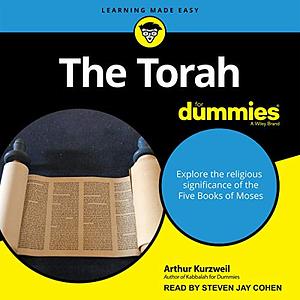 The Torah for Dummies by Arthur Kurzweil