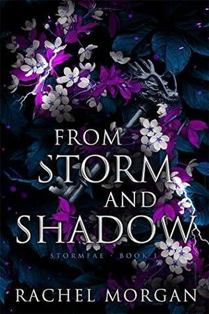 From Storm and Shadow by Rachel Morgan