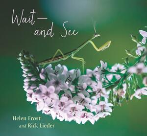 Wait and See by Helen Frost