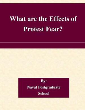 What are the Effects of Protest Fear? by Naval Postgraduate School