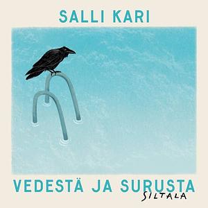 Vedestä ja surusta by Salli Kari