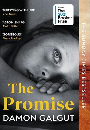 The Promise  by Damon Galgut