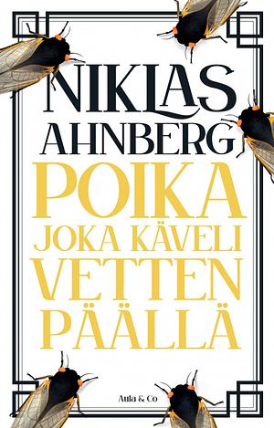 Poika joka käveli vetten päällä by Niklas Ahnberg