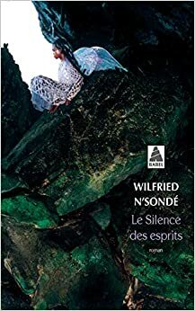 Le silence des esprits by Wilfried N'Sondé