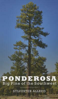 Ponderosa: Big Pine of the Southwest by Sylvester Allred