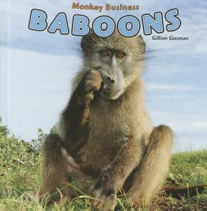 Baboons by Gillian Gosman