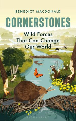 Cornerstones: Wild Forces That Can Change our World by Benedict Macdonald