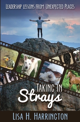 Taking In Strays: Leadership Lessons From Unexpected Places by Lisa H. Harrington