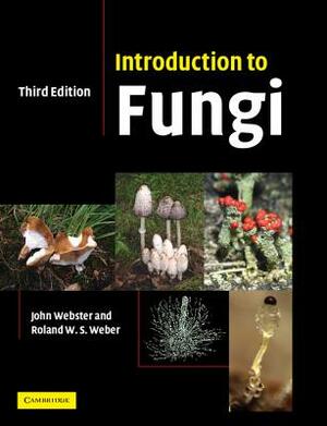 Introduction to Fungi by John Webster, Roland Weber