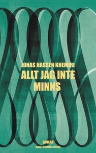 Allt jag inte minns by Jonas Hassen Khemiri