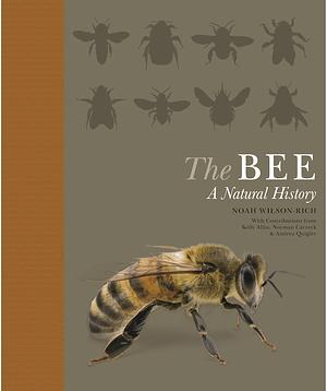 The Bee: A Natural History by Noah Wilson-Rich