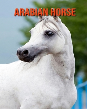 Arabian Horse: Incredible Pictures and Fun Facts about Arabian Horse by William Doyle