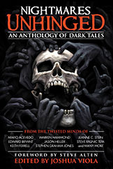 Nightmares Unhinged by Aaron Michael Ritchey, Warren Hammond, Jeanne C. Stein, Keith Ferrell, J.V. Kyle, Dean Wyant, Edward Bryant, Steve Rasnic Tem, Steve Alten, Jason Heller, Mario Acevedo, Aaron Lovett, Gary Jonas, Joshua Viola, Dustin Carpenter, Sean Eads, Stephen Graham Jones