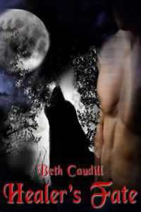 Healer's Fate by Beth Caudill