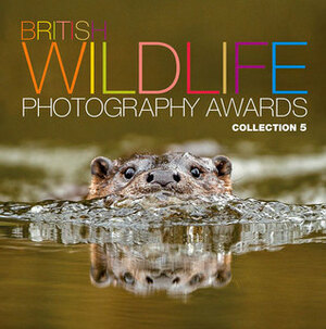 British Wildlife Photography Awards: Collection 5 by Stephanie Hilborne