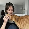 taraxhardy's profile picture