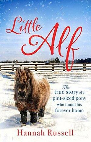 Little Alf: The true story of a pint-sized pony who found his forever home by Hannah Russell