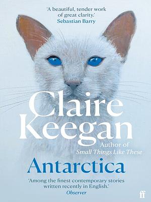 Antarctica by Claire Keegan
