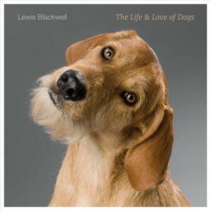 The Life & Love of Dogs by Lewis Blackwell