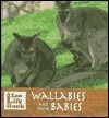 Wallabies and Their Babies by Marianne Johnston